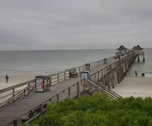 naples pier live cam