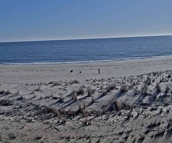 Dewey Beach cam HDBeachCams