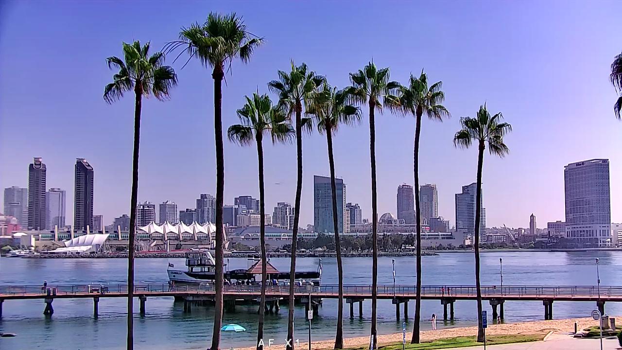 Tsunami live cam san diego