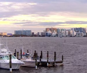 Sarasota live cam